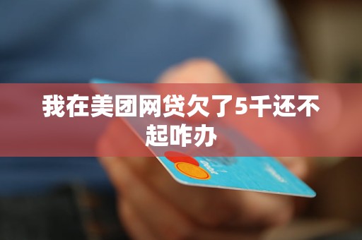 上海网贷逾期还不起请什么律师才能解决