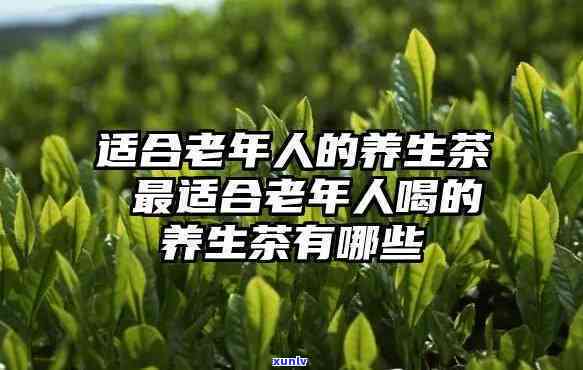 老人喝茶的选择：了解各种茶叶及其益处，为长辈选对养生茶