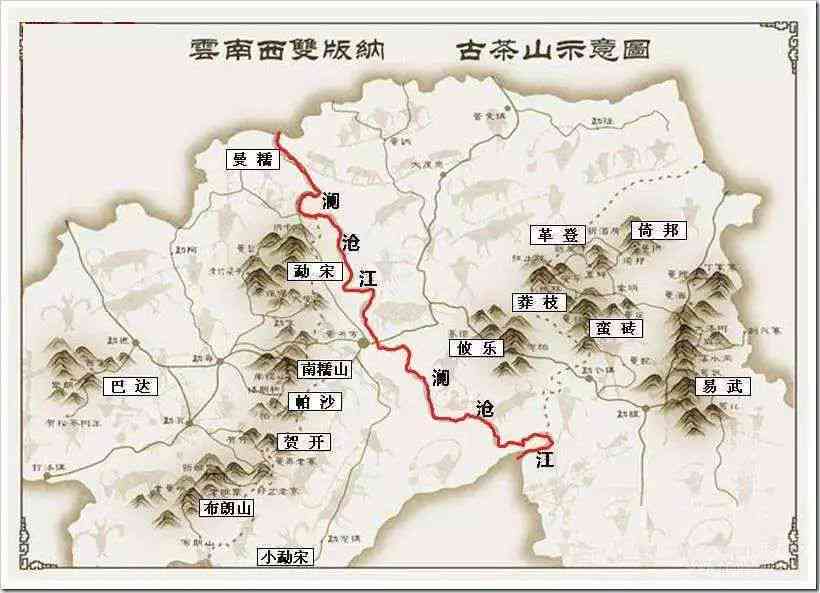 千寻白牡丹茶叶价格解析：品质、产地与市场行情一览