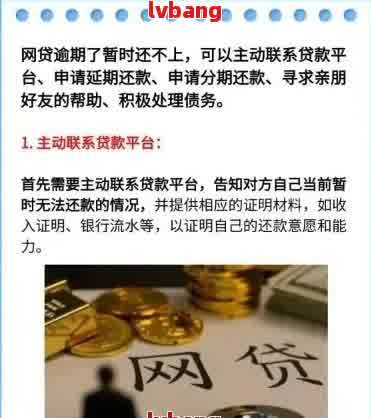 网贷还不上申请分期慢慢还怎么操作