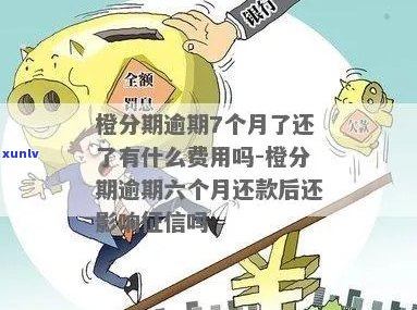 桔子分期逾期5年了