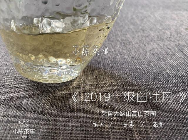 新 古树普洱茶与新茶之间的区别：一场味觉之旅的深度解析