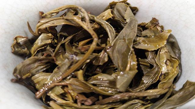 古树新茶与普洱茶：对比与选择，全面解析两者特点和品质