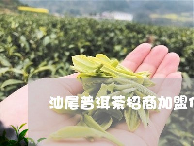 汕尾普洱茶怎么加盟的呢