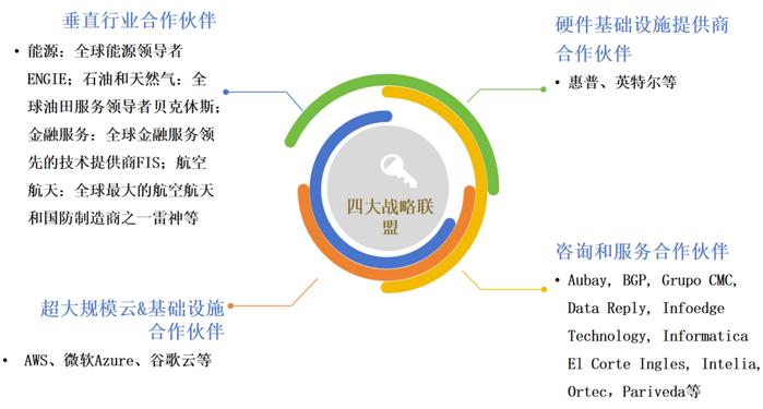 过量饮茶对钙吸收的影响：科学解析与实际案例探讨