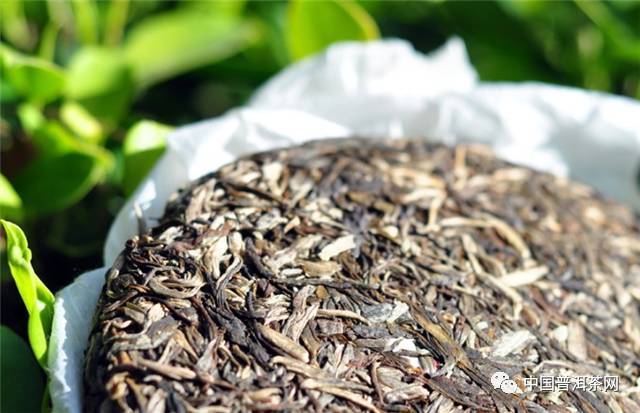 米口感的独特普洱茶品种推荐：深入了解与传统米搭配的普洱茶