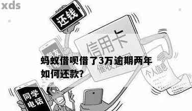 借呗欠款2万多逾期3年多如何解决