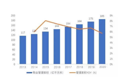 云普洱茶的投资价值：未来升值空间的深度分析