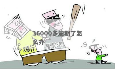 6800逾期了怎么办