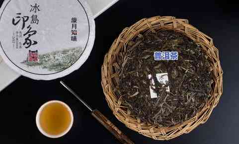 冰岛白茶品种与普洱茶区别：两者特色解析及对比