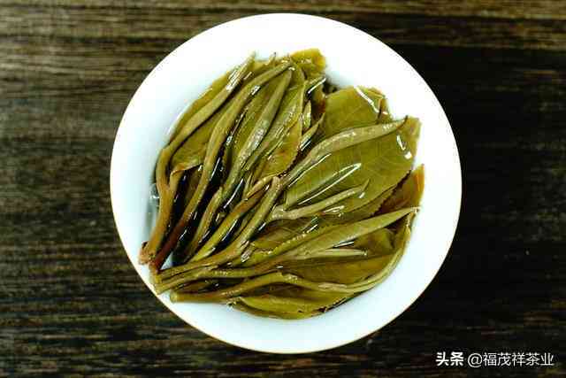 冰岛白茶品种与普洱茶区别：两者特色解析及对比