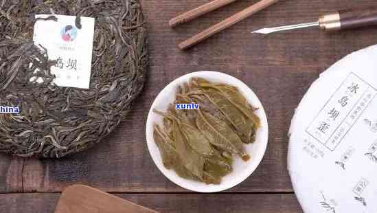 冰岛白茶品种与普洱茶区别：两者特色解析及对比