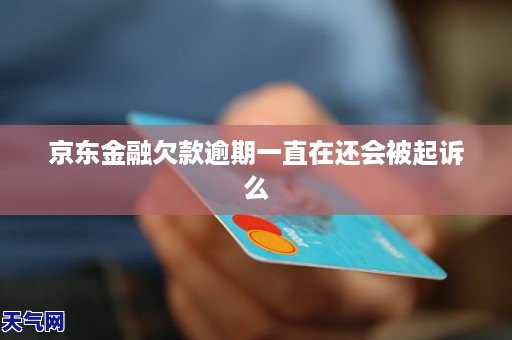 河南京东金融逾期一个月该怎么处理