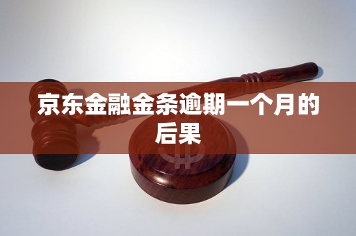 河南京东金融逾期一个月该怎么处理