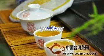 探索丽江普洱茶：品质、历与冲泡技巧的全面解析