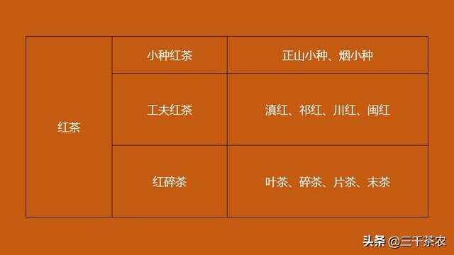 红茶主要分为什么