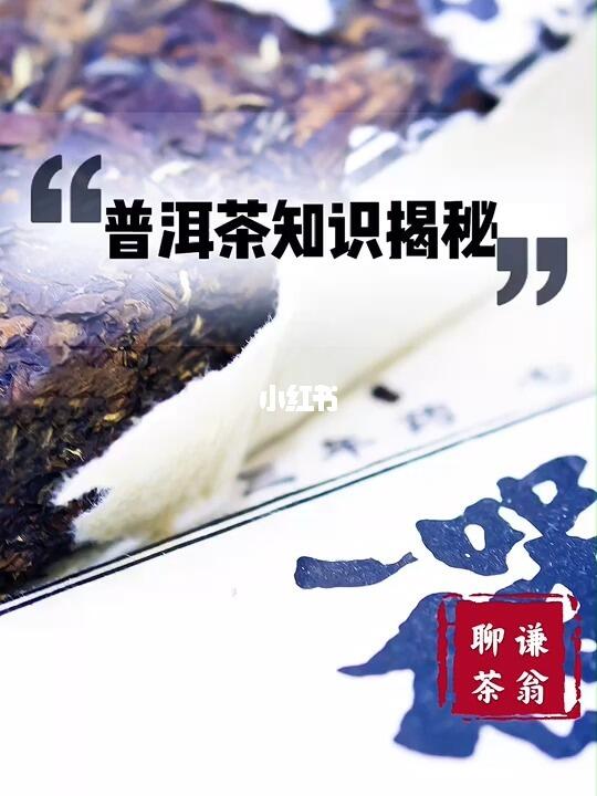 普洱茶知识432讲