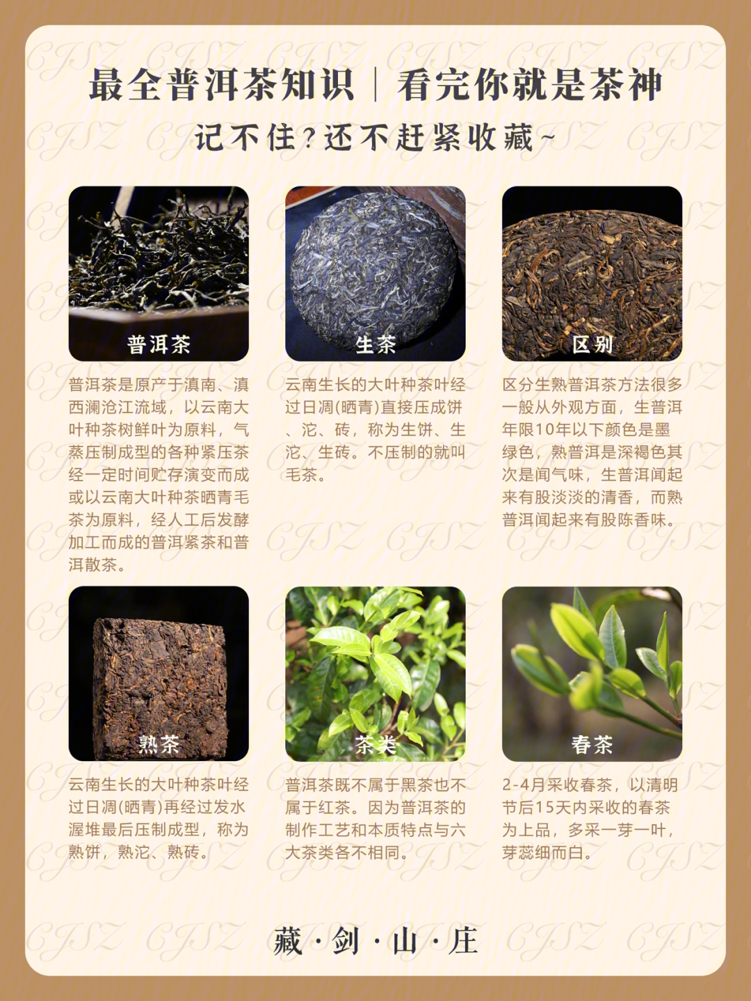 普洱茶知识432讲