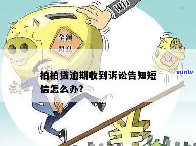 拍拍金融催告无果