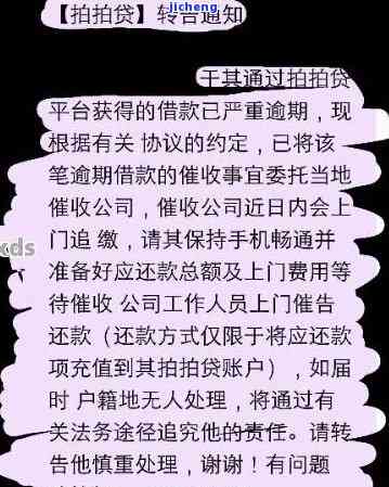 拍拍金融催告无果