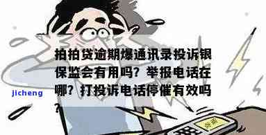 拍拍金融催告无果