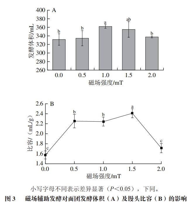 茶叶发酵1天后的效应：变化与过长发酵的影响