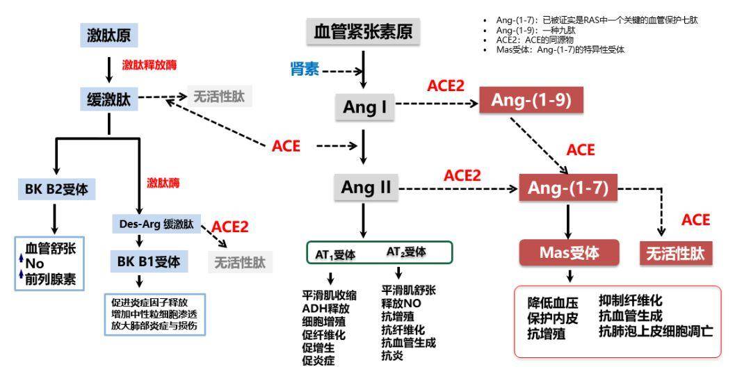 普洱茶与抗抑相互作用：了解可能的风险与注意事项