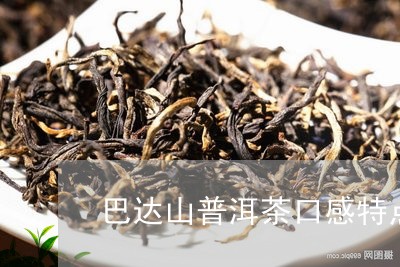 巴达山普洱茶的醇厚口感与独特风味特征分析