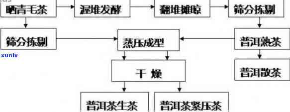 普洱茶的种类、制作工艺与价格之间的关系：一篇全面解析