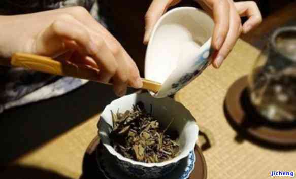 哪个朝代的饮茶方式主要依散茶？深入探究古代茶叶文化