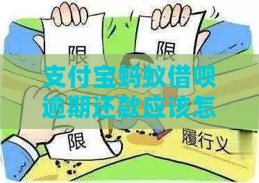 支付宝蚂蚁借呗逾期一天怎么办