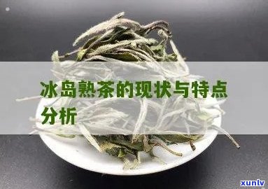 探究冰岛茶的独特魅力与普洱茶的共融特性