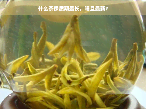 茶叶保质期：如何长茶叶的新度和品饮体验？