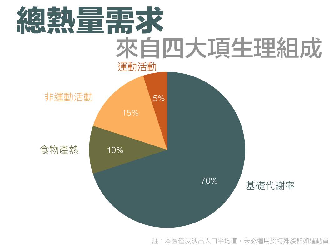 喝普洱茶能提高代谢率吗？女性、可以提高基础代谢率吗？