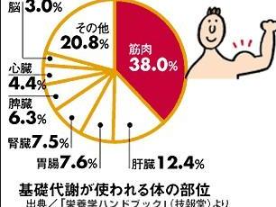 喝普洱茶能提高代谢率吗？女性、可以提高基础代谢率吗？