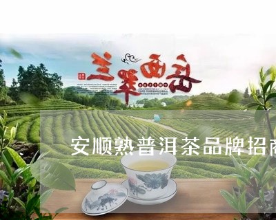 新安顺普洱茶批发与零售联系方式，瀹夐茶品供应热线