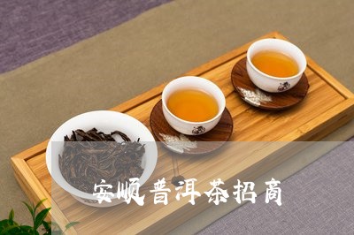 新安顺普洱茶批发与零售联系方式，瀹夐茶品供应热线