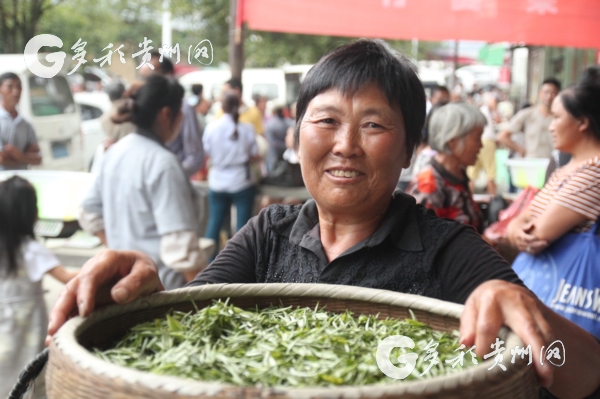 安顺茶叶市场：寻找高品质茶叶的瀹夐之地