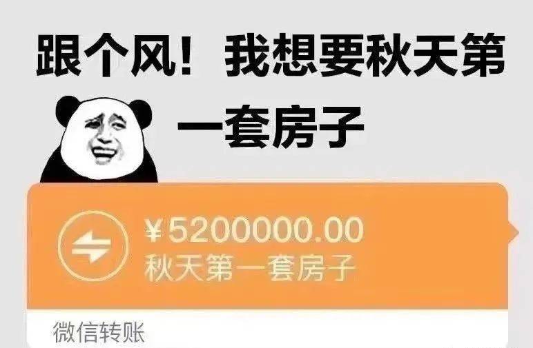 金山金融逾期20天会有什么后果