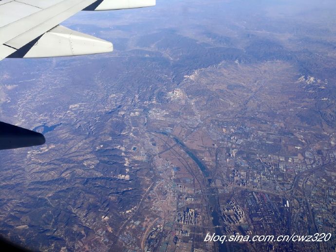 老挝普洱茶市场分析、价格波动及投资策略