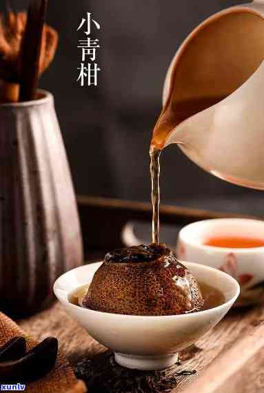 新小青柑普洱茶：独特风味与普洱茶的区别解析