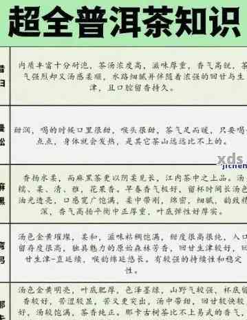 探索普洱茶口感的全面指南：从醇厚到清亮，了解各种形容词背后的品茗体验