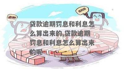 逾期借款罚息比例如何计算