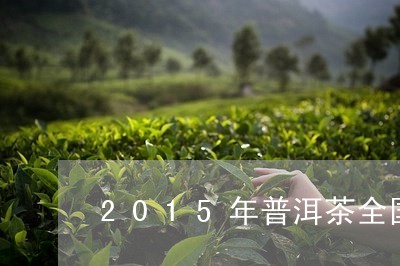 2015年普洱茶春茶产量