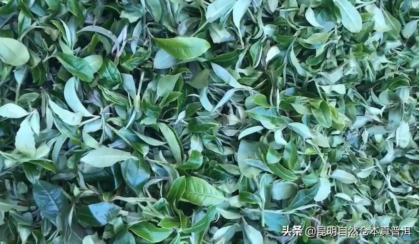 全面解析：普洱茶排行榜，对比各类茶叶性价比，为您精选优质茶叶