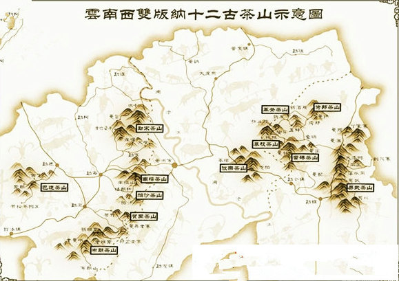 中国普洱茶之乡：探索云南古六大茶山的魅力与传承