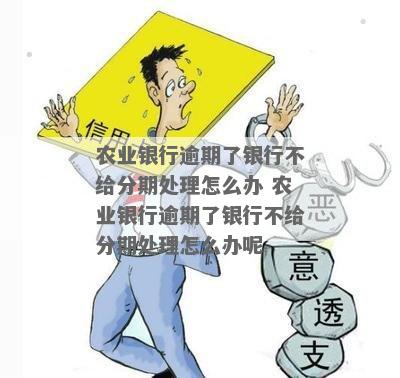 农行信用卡逾期不给分期怎么办