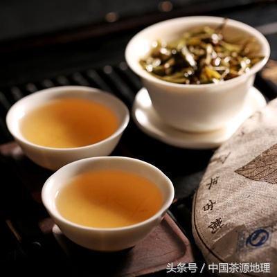 昔归普洱茶价格375克：探究昔归普洱生茶的价格与品质