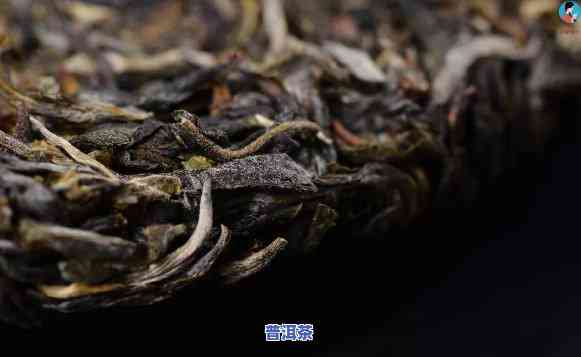 普洱茶存防虫技巧：如何有效避免虫咬？