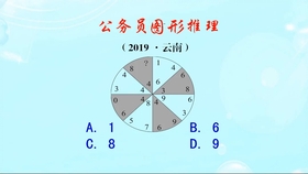 探究连心玉的神秘形状：与哪些数字相关？